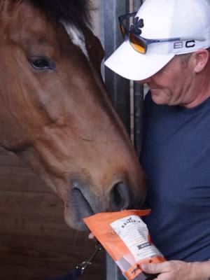 A post by @usequestrian on TikTok caption: Très Bien Z is calm and kind, but knows how to turn on beast mode when he steps into the arena. 💪 #USAJumping #NationsCup #Grooming #USEquestrian #HorseSport 