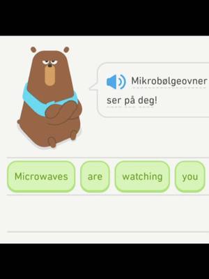 A post by @duolingo on TikTok caption: don’t tell me i didn’t teach you anything useful #duolingo #languagelearning 