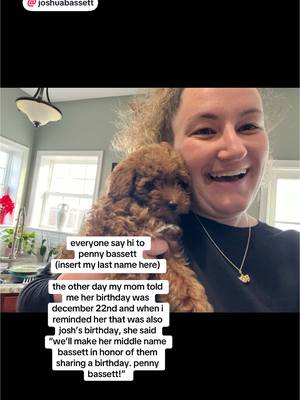 A post by @laurenoberdorf on TikTok caption: say hi to penny bassett @joshua bassett #joshuatbassett #joshuabassett #puppytiktok #puppylove #puppylife #dogsoftiktok #dog #highschoolmusicalthemusicaltheseries #hsmtmts #fyp 