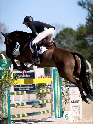 A post by @boydmartin on TikTok caption: Jumping highlights from Grand Prix Eventing 💪 Ready for cross-country tomorrow with Conner and Bruno! 