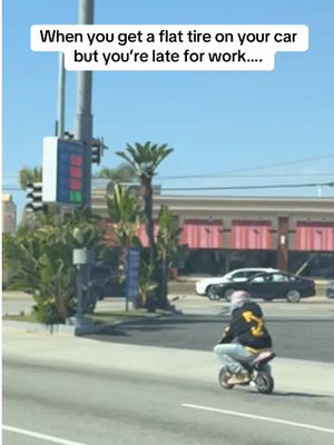 A post by @thebudgetballer on TikTok caption: By any means necessary! #onlyinla 