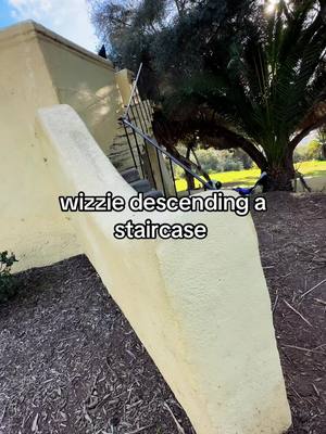 A post by @wizzie_spudspice on TikTok