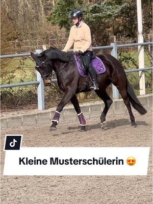 A post by @franziundfleur on TikTok caption: Wie gut macht sie sich bitte?? 😂 Meine Trainerin sieht uns dieses Jahr noch in der Dressurpferde A, ich bin da eher zurückhaltend und der Meinung, Trudi kann auch noch in 1-2 Jahren ihr erstes Turnier gehen. Aber mal schauen, wo die Reise hinführt 🫶🏻 IG: franziskaelea  #dressurpferd #dressurpferde #jungpferd #jungpferdeausbildung #ausbildungsskala #franziundfleur #franziskaelea 