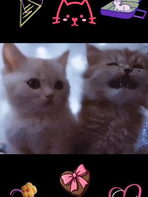 A post by @flashyflashsenkouzanshin on TikTok caption: Nikaido and Kitty with Usogui Cat 閏秒 leap  SECOND　(UTC)　 like　kaiji final mix and Cute cat OFFICIAL　Visualizer with   place where happiness does not require reasons #閏秒 #うるうびょう #leapsecond #現行 #協定恋愛 #UTC #hopecore #cats #Love #us #fy #wizewave #usogui #kaiji #nikaido #二階堂 　The Wild Robot　and Cat 野生の島のロズ と　可愛い猫ちゃん　todays Cat day  #猫の日 　いくつかあるが、日本の#猫の日実行委員会 　が1987年に制定した記念日は、猫の鳴き声「にゃん・にゃん・にゃん」の語呂合わせで2月22日に定められている#2 .22#2025年2月22日 #2025年2月22日  Sakamoto tarou days and catday featuring　 Yusuf Dikec with SHIMAZAKI shingo loves Medalist　CuteAlso Known AsRun saber　and Star Gladiator 2:　and Dragon Smash （smasma ）featuring zebra the illskill with Nightmare of Bilstein　aka Edward Bilstein featuring mastered numerous martial art styles　the Rugal Bernstein met a CuteCat and VALENTINE and wolfenstein in Last ACTION　Hero #ルガール・バーンシュタイン バーンシュタイン #RugalBernstein #EdwardBilstein #lastactionhero #illbeback #ilovemeow #ILOVEYOU  ENDER MAGNOLIA　Bloom in the MistENDER　and  LILIESOPERATION with MONSTER FORCE  Furay Planet de King Oblivion #FurayPlanet #ENDERLILIES #endermagnoliabloominthemist #newgame #operationmonsterforce #MONSTERFORCE #Veteran #Cute Cat iloveyou and sound. Listen carefully #cat #catsoftiktok #catlover #funny #funnyvideos #foryou 😼😽#fpy #lovely #foryou #可愛い #adorable #funny #babycat #cutecat #cattoker #cattok #petFNAF 　Final  OiaCat and bbbb with a T.p #game #oiacat #fnaf #bbbb #trending #blingbangbangborn #powpow #music #fyp #cat #catsoftiktok #foryou #dance #viralZenshu and Zen Zen Zense with laday made cat and Pet love and CuteCat Cute Baby and fluffy CuteCat pp and Ave mujica featuring 　Tot Musica　aka Demon King of Songs #TotMusica #fyp #pp #cat #kaf #avemujica  #bedroom #baby #cutecat #original #可愛い猫 #猫さん #猫 #猫ちゃん #doppelgängerFull #猫ミーム #猫のいる暮らし #ぬこ様 #DemonKingofSongs #レディメイド歌ってみた #レディメイド #ladymade #zen #zenshu #zense #全修 #前前前世 #我妻善逸 #HelloKitty #tpainchallenge #tpain #autoTune #バンドメイド #bandmaid #バンドメイド好きさんと繋がりたい #バンドメイド作品 #弘道館 #水戸城跡 　#夜梅祭2025 　#水戸城 　、今年初開催となる#偕楽園UMETheLights 　の2つの#ライトアップイベント 　結ぶ乗車無料の#シャトルバス #を催行します #梅美味しい😋😋 #梅娘 #偕楽園 #花火#石焼き芋 #石焼ビビンバ #石焼き芋のうた #石焼き芋屋さん 