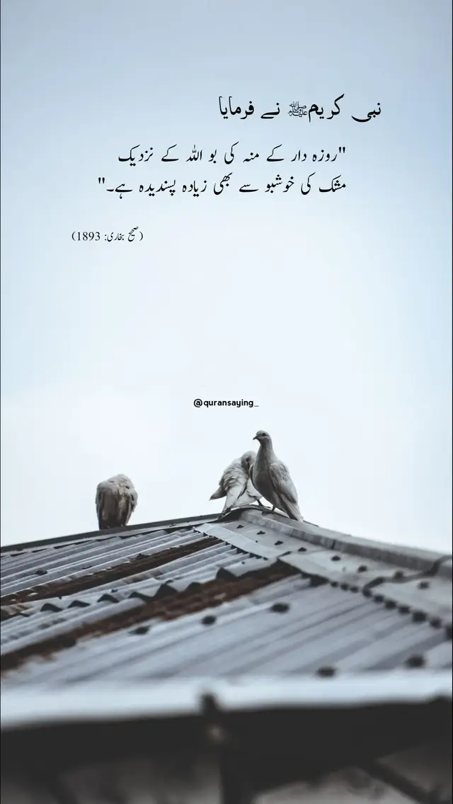 A post by @quransaying_ on TikTok caption: . #quransaying_ #foryou #islamicedits #comebacktoAllah #islamicpost #islamicstatus #growmyaccount #foryourpage #pleaseunfreezemyaccount #fyp #trendsound 