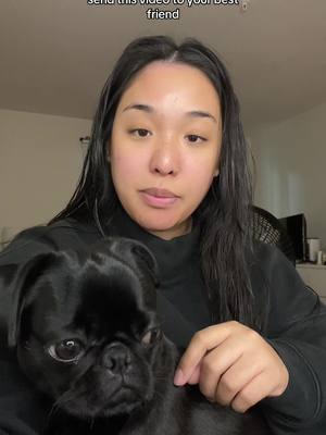 A post by @annnexmp on TikTok caption: Send /tag them, but also Rosie 🐾 wanted to say hi 🥹❤️