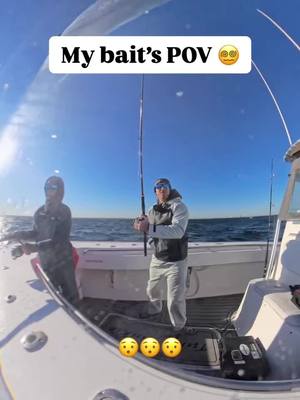 A post by @espn on TikTok caption: Bait’s POV 😯 (via ryan_morie/IG) #fish 