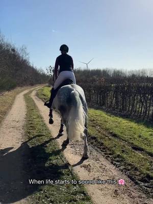 A post by @anja_fee on TikTok caption: Only a few weeks left ☀️🌸 #horse #equestrian #spring 