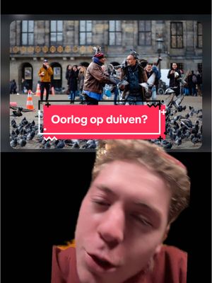 A post by @feitjedagelijks on TikTok caption: #feitje #fvdd
