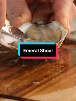 A post by @by_the_water on TikTok caption: I Ate Raw Oysters; Emerald Shoal #seafood #oysters #massachusetts 