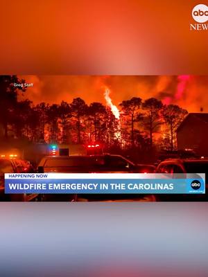 A post by @abcnews on TikTok caption: Firefighters were battling 175 wildfires that erupted across South and North Carolina overnight amid windy and dry conditions, threatening homes and prompting evacuations, authorities said. #abcnews #news #wildfire 