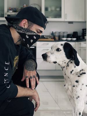A post by @dannero on TikTok caption: Best friends mess with each other… #dogs #dogsoftiktok #friends #vfx #comedy #sibling 