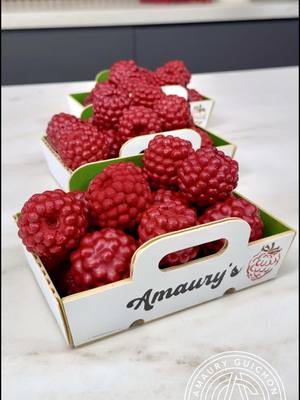 A post by @amauryguichon on TikTok caption: The Raspberries.  Enjoying these cuties while waiting for summer! ☀️ #amauryguichon #chocolate #raspberry 