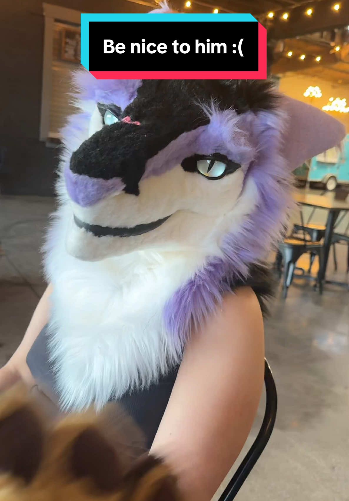 A post by @khajiitkat on TikTok caption: Be nice to him :( 