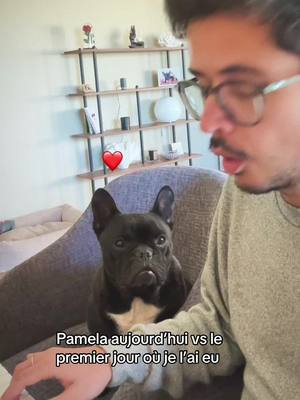 A post by @noholito on TikTok caption: J’ai pleuré en créant le tiktok 😂🥹❤️