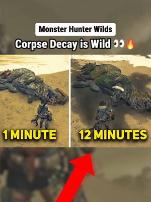 A post by @puzzleknows on TikTok caption: Corpse Decay is crazy in Monster Hunter Wilds! #gaming #GamingOnTikTok #fyp #f #games #MonsterHunter #foryoupage #monsterhunterwilds #monsterhunterwild #mh #monsterhunterworld 