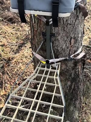 A post by @bowhunterplanet on TikTok caption: XOP winter test A+ passed.  #archery #bowhunting @xopgear 