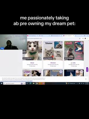 A post by @twitchojaysuave on TikTok caption: Twitch: OjaySuave #funny #ojaysuave #cats #catowners 