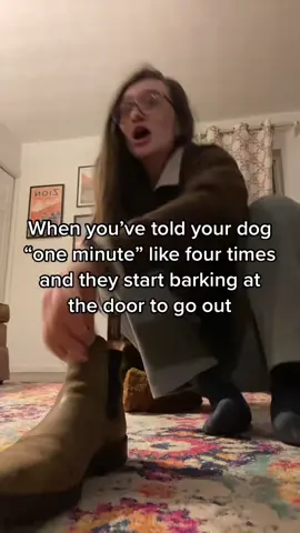 A post by @moxiesadventures on TikTok caption: I’m trying I swear, I just suddenly can’t remember how to put shoes on  #dogmom #dogsoftiktok #onthisday 