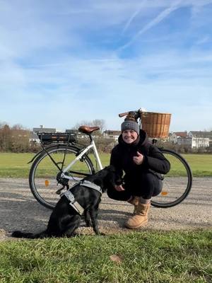 A post by @lenaaaaaaaaaaaaa_ on TikTok caption: Am Ende war der Stecker gezogen 😂✨ #fahrrad #fahrradmithund #hund #dog 