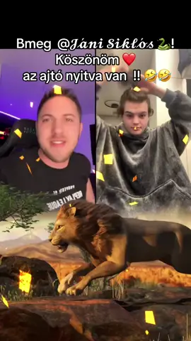 A post by @matthewcountry on TikTok caption: Köszönöm szépen ❤️@𝓙𝓪́𝓷𝓲 𝓢𝓲𝓴𝓵𝓸́𝓼 🐍 #livegift #lion 