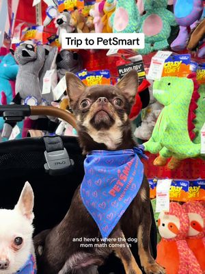 A post by @thestadlerfam on TikTok caption: A day in my life ft. a much needed trip to @PetSmart for Treats Rewards Members Month! From salon specials like earning 2,500 points ($5 in savings) if you purchase any merchandise in-store on the day of your appointment (1x earn, 3/1-4/6) to earning $10 back in rewards points for every $50 spent (1x per day, 5x max use thru 4/6), there are so many deals to take advantage of, whether you’re shopping online or in-store all month long! #anythingforpets #petsmartpartner #petsmartgrooming #dogmom #dayinthelife #mornigroutine #ditl 