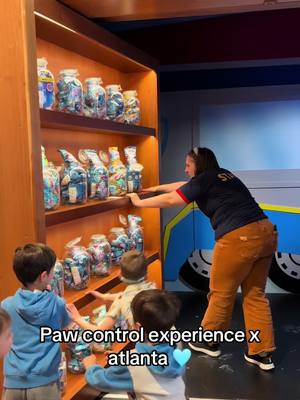 A post by @allthingsmissy on TikTok caption: #pawpatrolexperience 10/10! if you have a kid that loves paw control take them !!!