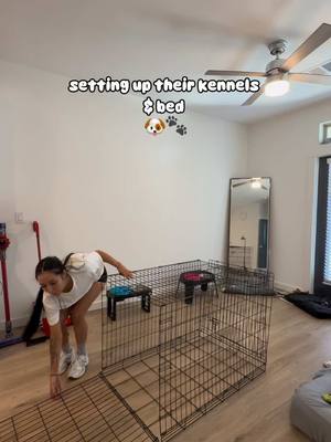 A post by @shaypatino on TikTok caption: I hate how there’s barely room now :( #dogs #dogsoftiktok #dogbed #kennel #dogmom #dogmomlife 