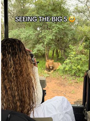A post by @simonebilesowens on TikTok caption: beyond lucky 🤍   #campjabulani #southafrica #kapamareserve #krugernationalpark 