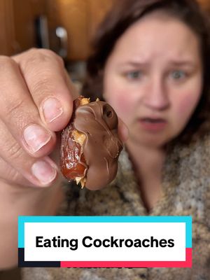 A post by @applesauceandadhd on TikTok caption: #AggressiveTutorials #AggressiveTutorialLady #AggressiveCookingShow #AggressiveCookingTutorials #Aggrecipes #cockroach #datesnickers #stuffeddates #datecandybar 