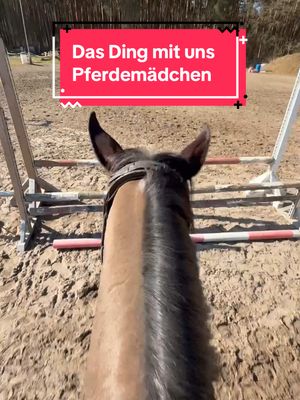 A post by @patrick.thomalla on TikTok caption: 🦄 Das Ding mit uns Pferdemädchen 🦄 Vor, zurück, zur Seite, ran 🤣🤷🏻‍♂️ Einmal kurz verklärt.  #comedy #horseman #fun #pferd #pferdemädchen #cowboyonhighheels #showjumping #springreiten #jungpferd #pony #highheels #glitter #fy #fyp #trending #viral