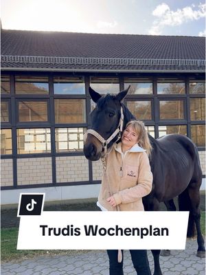 A post by @franziundfleur on TikTok caption: Wochenplan für mein (fast) 4-jähriges Pferd. Wie oft reitet ihr? IG: franziskaelea  #pferdemädchen #dressurpferd #jungpferd #jungpferdeausbildung #franziundfleur #franziskaelea #jungpferdetraining 