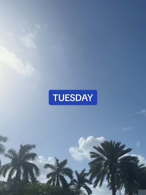 A post by @chelseaparkee on TikTok caption: TUES! TIMESTAMPED! 🧘🏼‍♀️☕️🌮🌴👖🤍 #chelseaparketimestamp #Vlog #dayinmylife 