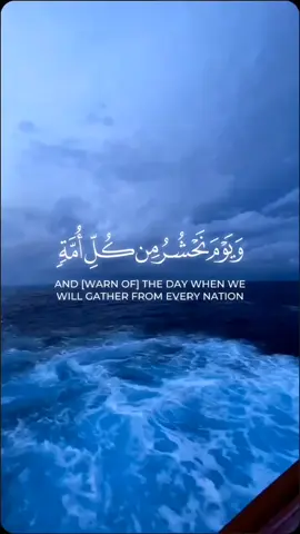A post by @recite_quran_ on TikTok caption: #Quran #quran_alkarim #Allah #foryou 