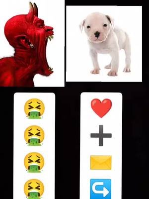 A post by @lmjorgeluislopezi on TikTok caption: el amor de una palabra de cuatro patas#fypシ゚ #paratii #fouryour #viral_video #foruyour #respect #likeaboss #foryou #fypシ゚ #paratii 