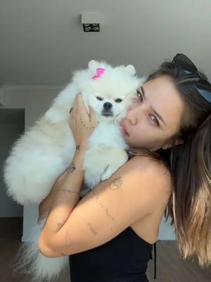 A post by @emiliamernes on TikTok caption: por finnn 🏠🇦🇷💓