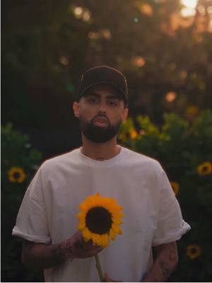 A post by @jaywheeler on TikTok caption: 🌻🌻🌻🌻 #NSQMQ 🌻🌻🌻🌻 — MARZO 7 ✨