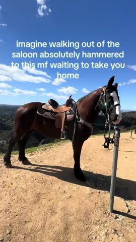 A post by @ash.conway on TikTok caption: im not drinking and driving, i’m drinking he’s driving 