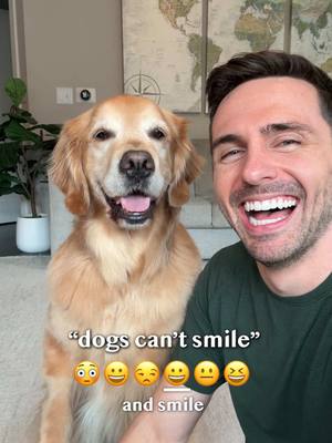 A post by @elliegoldenlife on TikTok caption: Proof that dogs CAN smile!