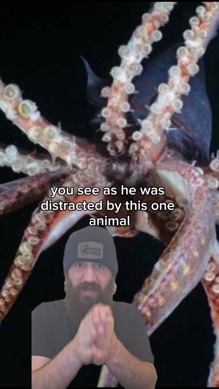 A post by @thewanderingbeard2.0 on TikTok caption: In 1995, A man was trying to document a very elusive animal when the situation quickly got out of control. NOTES: sorry for the green screen failure/quality on this one. Also be aware that Scott is the sole witness and storyteller to this event so unlike all my other stories it was impossible to verify through a third party witness, but this story was done as a request.   #CapCut #animal #attack #truecrime #truestory #horror #squid #diving 
