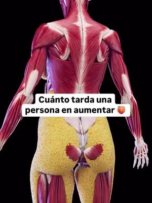 A post by @alexcifuentesfit on TikTok