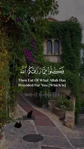 A post by @recite_quran_ on TikTok caption: #عبد_الرحمان_مسعد #Quran #quran_alkarim #Allah #foryou 