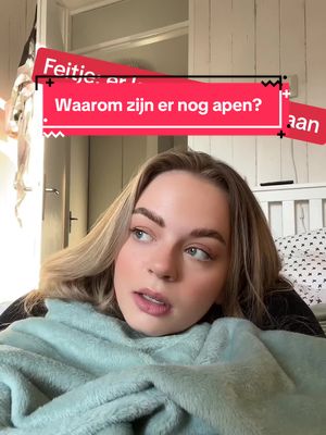 A post by @feitjedagelijks on TikTok caption: #feitje #fvdd 