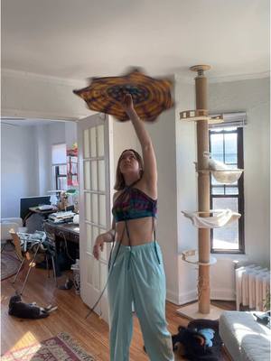 A post by @abbiecn on TikTok caption: slow cozy flowin today :p