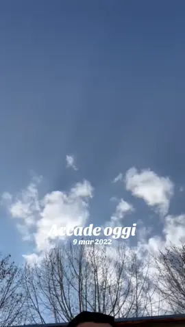 A post by @il_mike_80 on TikTok caption: #accadeoggi 