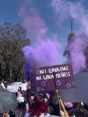 A post by @dafnezzuniga on TikTok caption: Hoy alzo la voz por mis niñas seguidoras también, para enseñarles que no estamos solas, que ya no tenemos miedo y no debemos quedarnos calladas 💜🔥 #8m #girls #viral_video 