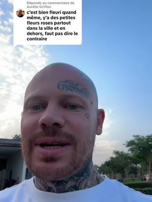A post by @twdreams on TikTok caption: Réponse à @Aurélie Griffon pas que du béton à Dubaï ##dubai