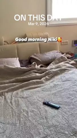 A post by @animal.reunion on TikTok caption: #onthisday