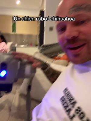 A post by @chichicanos on TikTok caption: Il a grogné 😳 #chihuahua #robot #chien 