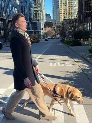 A post by @matthewandpaul on TikTok caption: perfect match 🦮 #guidedog #dogtok
